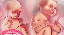 Mẹ có biết các giác quan của thai nhi phát triển theo từng tháng trong bụng mẹ như thế nào?