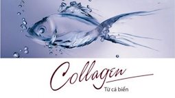 Những loại cá nên ăn để tăng collagen, chị em muốn có làn da đẹp càng không nên bỏ qua