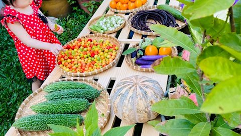 Chi phí tự trồng đắt hơn mua sẵn gấp 5 lần, mẹ Việt vẫn kỳ công chăm sóc vườn rau để thỏa ước mơ thưởng thức hương vị quê nhà nơi xứ người