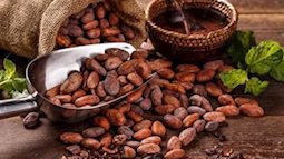 Ngôi sao Nhật Bản cho loại củ quen thuộc vào nước cacao để giảm 9,8cm bụng dưới sau 3 tuần
