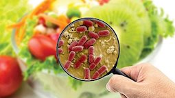 Vi khuẩn Salmonella có trong cơm gà Trâm Anh nguy hiểm thế nào?