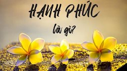 Phát hiện bất ngờ về chìa khóa hạnh phúc, không phải tiền bạc hay tình yêu như nhiều người nghĩ