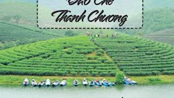 Ngoài biển Cửa Lò, Nghệ An còn có những "ốc đảo xanh" độc đáo: Cảnh được nhận xét không giống nơi nào