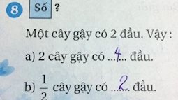 Phép tính "xoắn não": Một cây gậy có 2 đầu, nửa cây gậy có mấy đầu?