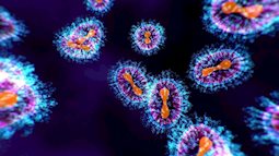 WHO xác nhận HMPV không phải virus mới: Làm thế nào để nhận biết bệnh?