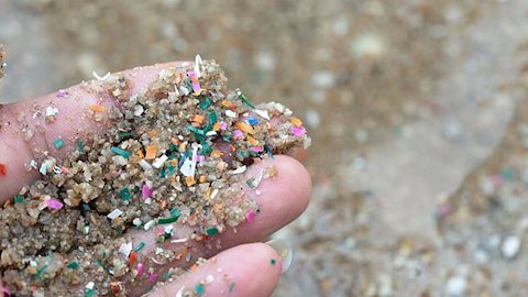 Vi nhựa "lấp đầy" não người: Những siêu thực phẩm giá rẻ có thể bảo vệ bạn khỏi tác hại chết người của vi nhựa