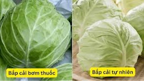 "Vua ngậm thuốc kích thích" gọi tên loại rau này, đi chợ mà ngố thì bạn toi đời!