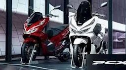 Đánh giá sâu về Honda PCX 2025: Thiết kế trẻ trung, công nghệ thông minh và hiệu suất ổn định