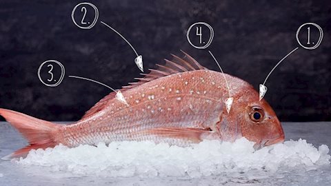 Bất cứ ai cũng có thể phân biệt cá tươi với cá ươn sau khi đọc hướng dẫn 4 bước này