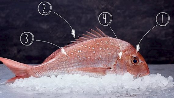 Bất cứ ai cũng có thể phân biệt cá tươi với cá ươn sau khi đọc hướng dẫn 4 bước này