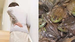 Cụ bà nuốt 8 con ếch sống để chữa đau lưng và cái kết