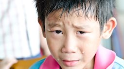 Khảo sát 1000 đứa trẻ, nữ giáo sư phát hiện: Đây là kiểu trẻ dễ có khuyết điểm tính cách nhất